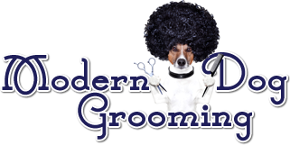 Modern Dog Grooming Logo